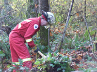 2010 fall Training
